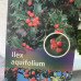 Ilex aquifolium na stapu